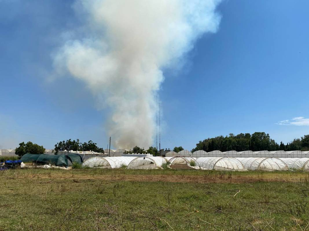 Otluk alanda başladı orman ve seralara sıçradı - Resim: 22